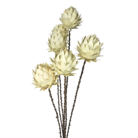 RAMO X5 FLORES LEIRE 60CM...