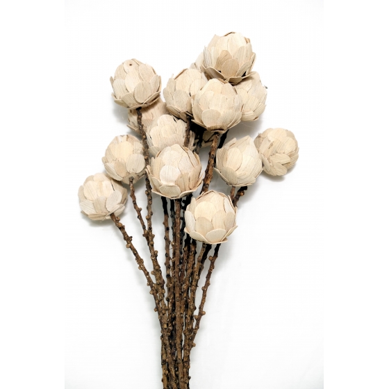 RAMO X5 FLORES JULIA 60CM...